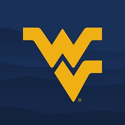 VV logo