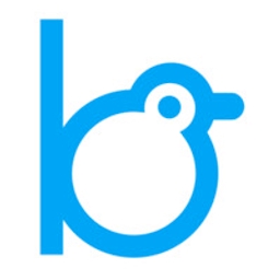 BigBird.VC logo