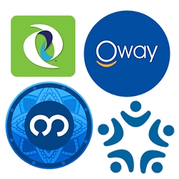 Emerging Markets Entrepreneurs logo