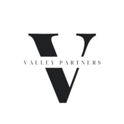 Valley Partners logo