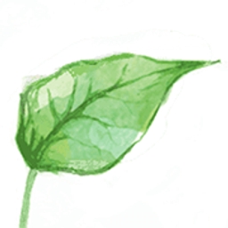 Kalos Ventures logo