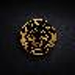 Black Eagle Ventures logo