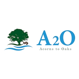 A2o Inc logo