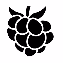 Cloudberry Pioneer Investments logo
