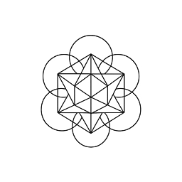 Decahedron Ventures logo