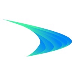 DS5 Venture Group logo