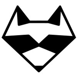 RACCOON.VENTURES logo