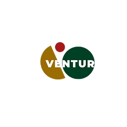 NSL Ventures logo