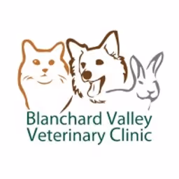 BVVC logo