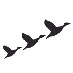 DFT Partners logo