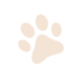 TAW Ventures logo
