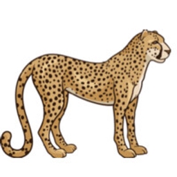 Intuition Capital logo