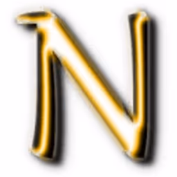 N.S.Lachman & Co. LLC logo