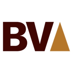 Bronze Valley logo