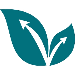VG Capital logo