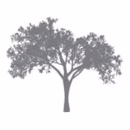 Magnolia Ventures logo