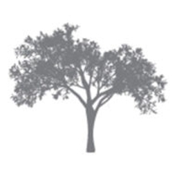 Magnolia Ventures logo