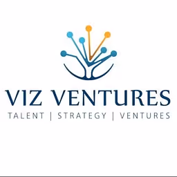 VIZ VENTURES logo