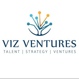 VIZ VENTURES logo