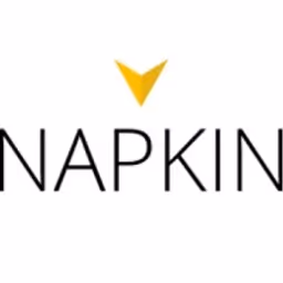 Napkin Group logo
