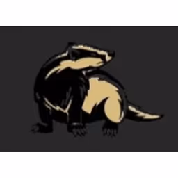 Performance Ventures logo