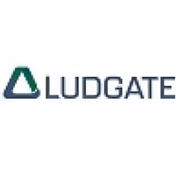 Ludgate Investments Ltd logo