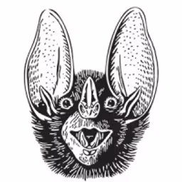Batshit Crazy Ventures logo