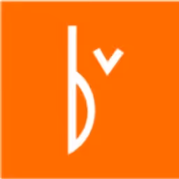 Brain Ventures logo
