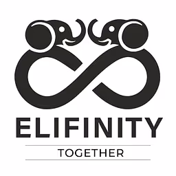 Elifinity logo
