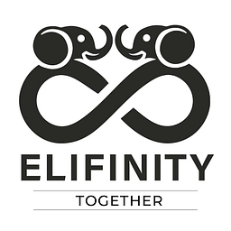 Elifinity logo