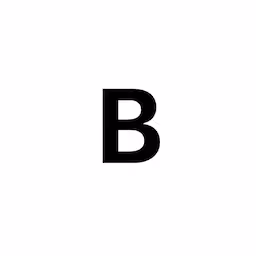 BigStory VC logo