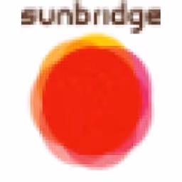 SunBridge Partners logo