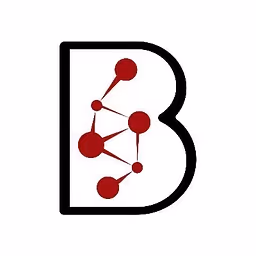 BKR Capital logo