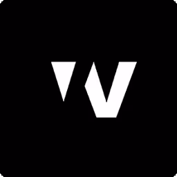Material V logo