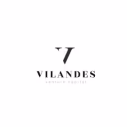 Vilandes Venture Capital logo