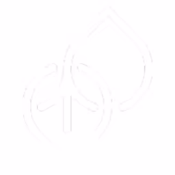 Partners in Equity logo