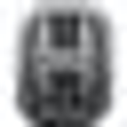 HELANTIC logo