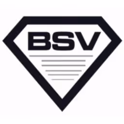 Bootstrap Ventures logo