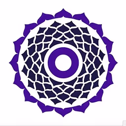 True Wealth Ventures logo