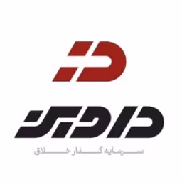 Davin Ventures logo