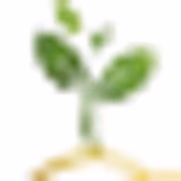 Tapasya Ventures logo
