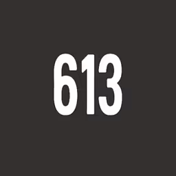 613Ventures.vc logo