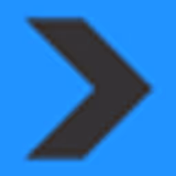 P51 Ventures logo