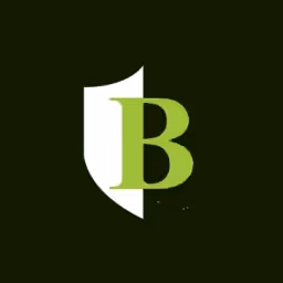 Boutique Venture Partners logo