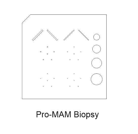 Pro-MAM Biopsy pattern