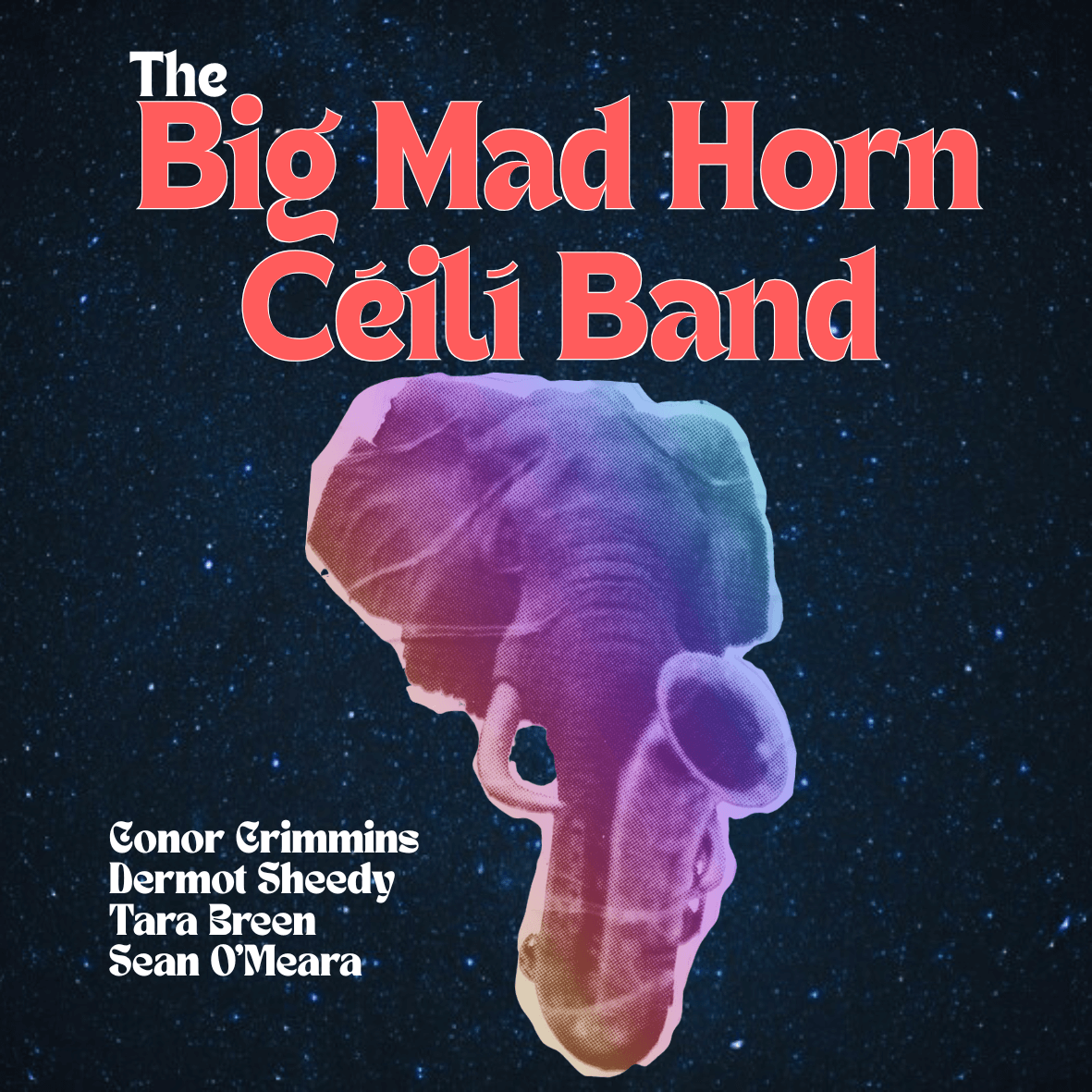 The Big Mad Horn Ceili Band