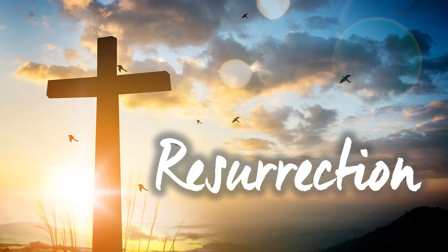 Evidence For the  Resurrection of Jesus