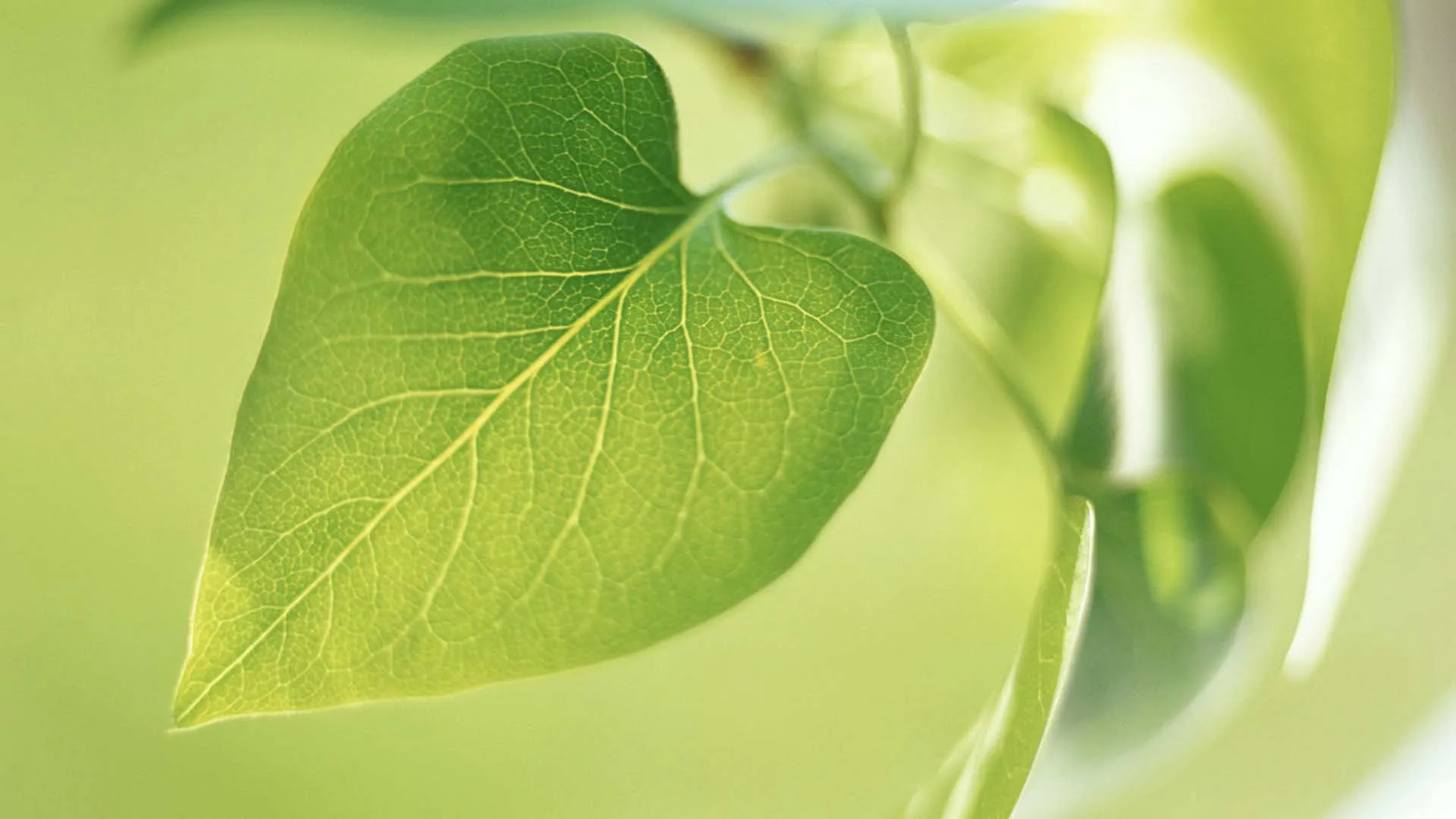 小組聚會 (國/粵語) - Small Groups