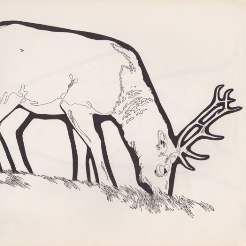 Game Farm coloring book illustration