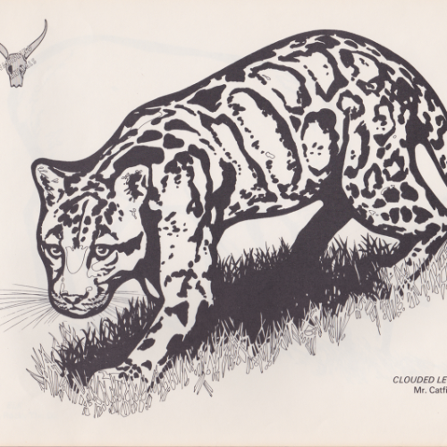 Game Farm coloring book illustration